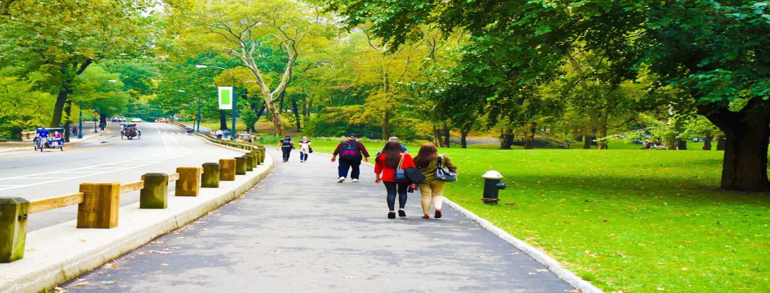 Image for Stroll in Parks